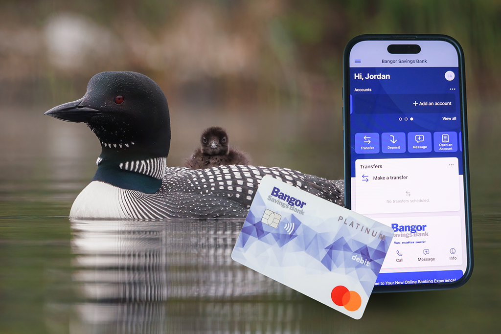 Bangor Savings Bank mobile app on a smartphone in front of a loon and it's baby with the Bangor Savings Bank Debit Card
