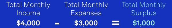 Total monthly surpluss